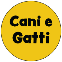 cani e gatti